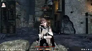 Vindictus What is Redeemers?