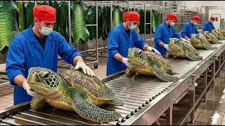 Inside the Turtle Leather Factory &mdash; How Giant Turtle Shells Become Luxury Bags (Hidden Process)