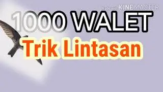 SP 1000 WALET TRIK LINTASAN