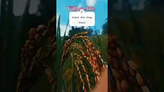 Village life stupid shiu vlogs #automobile #shorts #short video