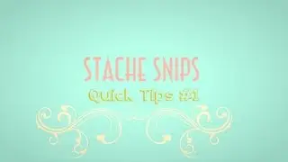 Stache Snip Quick Tips #1: Glidecam 4000 HD