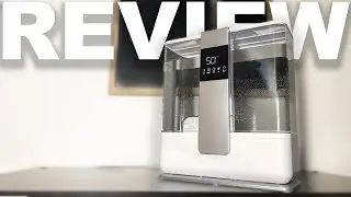Best $50 Humidifier EVER