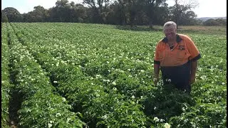 Crookwell Potato Festival Virtual Farm Tour
