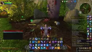 World of Warcraft - Mists of Pandaria - Pet Battles -Lucky Yi