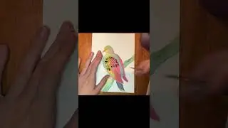 Paint a turtle dove with me! #art #painting #watercolor #watercolorpainting #turtledove