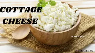 How To Make Chhena?/ Cottage Cheese/ Milk Curdling Process