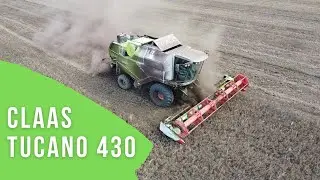 Уборка гороха 2020 комбайнами CLAAS TUCANO, MEGA,MEDION.