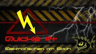 Quickie #4: Elektrofischen am Bach