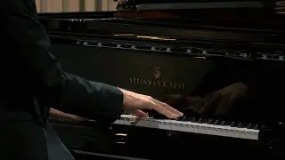 Matthieu Idmtal plays Radamés Gnattali: Vaidosa