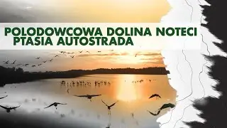 Razem dla Natury: skarby polodowcowej Doliny Noteci