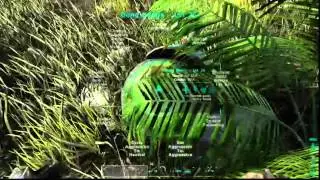 ARK 