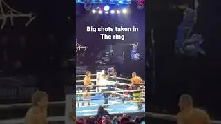 #fighter takes big shots #boxing #madisonsquaregarden #combatsports #newyork #knockout