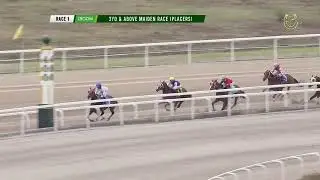 17JAN2026 - Race 1: 3YO & ABOVE MAIDEN RACE (PLACERS) (1300m)