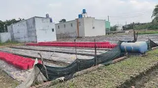 TRỒNG HOA HƯỚNG DƯƠNG PH&Aacute;P 19/10 &Acirc;M LỊCH 