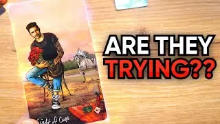 DO THEY CARE ENOUGH TO UNDERSTAND YOU? Third party tarot reading twin flame