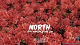 [FREE] Afrobeat Instrumental 2022 