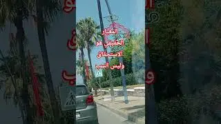 المعيار الحقيقي هو الاستحقاق #shortvideo  وليس السبب.