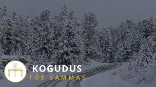 T&uuml;&uuml;tu palve!