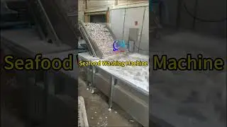 Seafood Washing machine, fish cleaning machine, shrimp cleaning machine, seafood cleaner