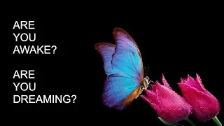 Zhuang Zi and the Butterfly: Exploring the Nature of Reality and Perception