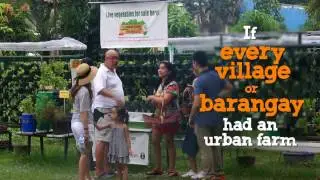 What An Urban Farm Will Benefit You Except From Healthy Life