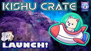 Kishu Inu Token - Kishu Crate NFT Launch (with Tutorial) 👀