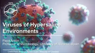 EAI Seminars: Viruses of Hypersaline Environments