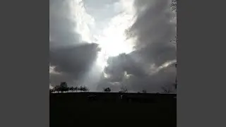 Queen of the Earth