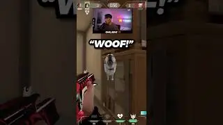 ALWAYS BARK FOR A REZ 🐶 #valorant #valorantclips