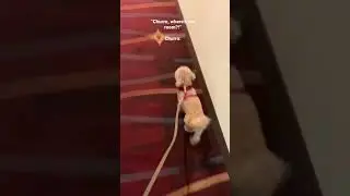 How To Find Your Hotel Room