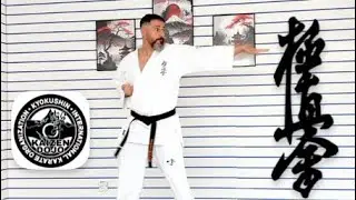 KYOKUSHIN KARATE GEKISAI SONO ICHI KATA