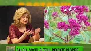 DOCTORUL NATURII - SALCIA, SOCUL ŞI TEIUL, INDICATE &Icirc;N GRIPE