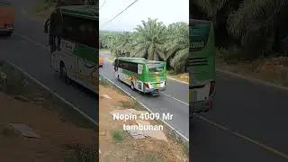 keramahan driver chandra 4009,  ( Mr.tambunan )