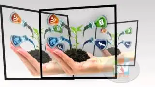 Top SMO Services in Mumbai