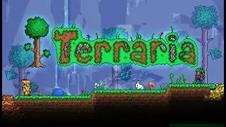 pokemon chaos Live Stream terraria real