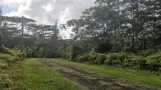 PLUMERIA RD, PAHOA, HI Presented by Sophia Yunis.