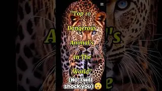 &ldquo;Top 10 Deadliest Animals on Earth #1 Will Shock You! 😱&rdquo;#top10 #viral #shorts
