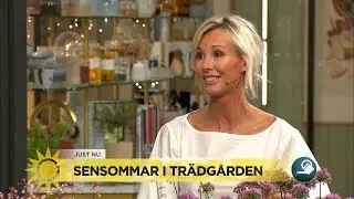Så tar du hand om sensommarträdgården – Victoria Skoglunds bästa tips - Nyhetsmorgon (TV4)