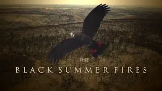 The Black Summer Fires - Three years since the Australian Bushfires of 2020 - Kangaroo Island
