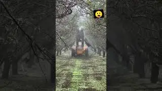 Unique tree cutting machine - #cutting #machine #unique