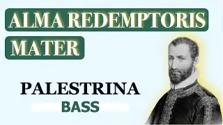 Bass - Alma Redemptoris Mater (Palestrina)