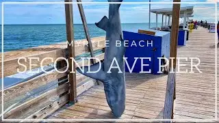 2nd Ave Pier Morning Walk - Myrtle Beach, SC