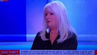 Dog Theft in the UK