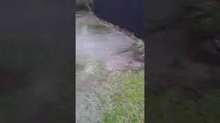 my neighbor caused to my yard to  flash flood #short's