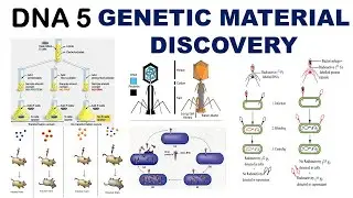 Search for Genetic Material | Griffith Experiment | Hershey & Chase experiment | Dr Ghanshyam Jangid