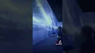 Immersive Disney Animation in Branson, MO