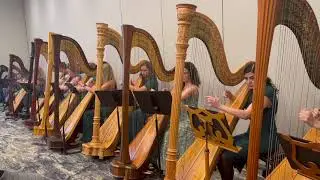 BY THE SHADE OF THE PALMS - Alfredo Rolando Ortiz - WORLD PREMIERE (For 3 harps or ensemble).