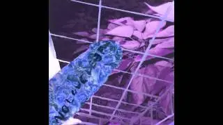 Death Grips | Stockton (CxS by The MechCannibal)
