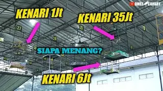 KENARI 6jt vs KENARI 35jt siapa menang?