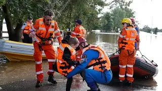 NSW government failed to introduce life-saving disaster response technology